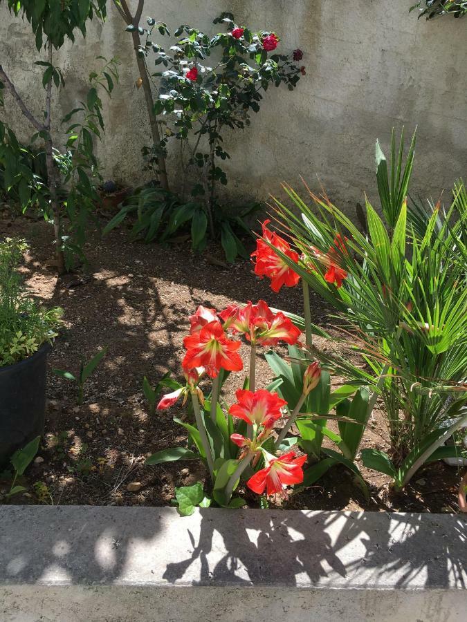 Casa Vacanza Demi Alcamo Marina Dış mekan fotoğraf