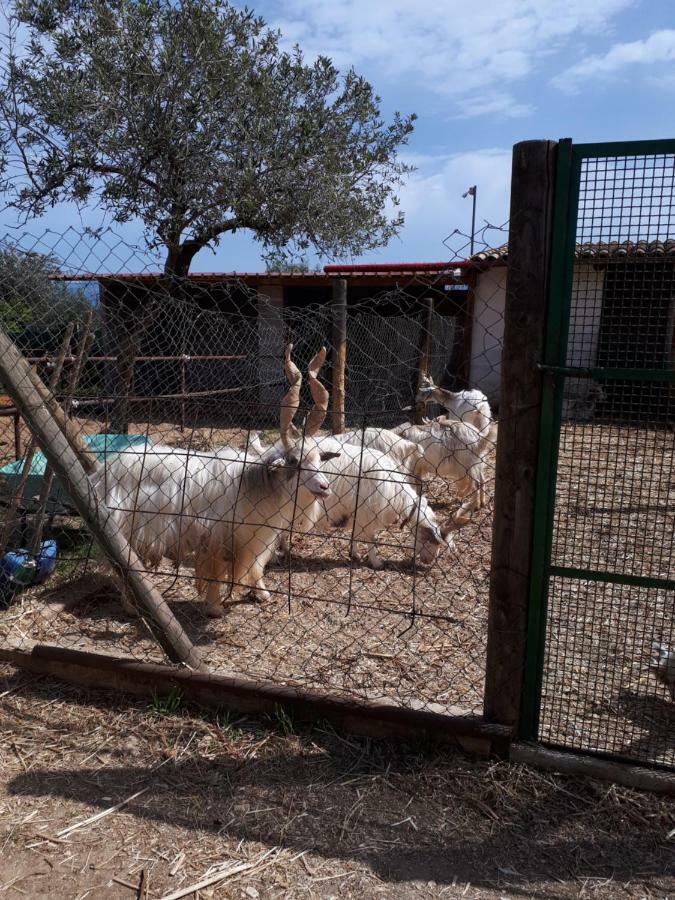 Casa Vacanza Demi Alcamo Marina Dış mekan fotoğraf