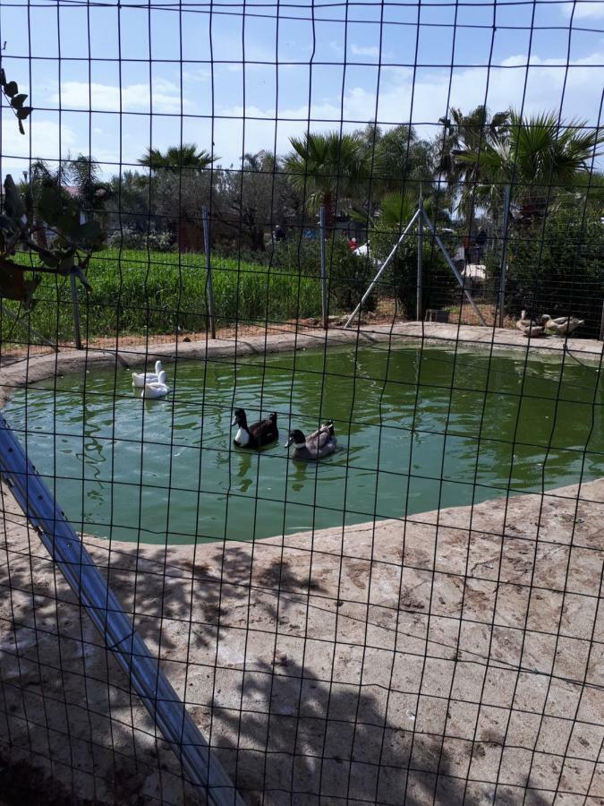 Casa Vacanza Demi Alcamo Marina Dış mekan fotoğraf