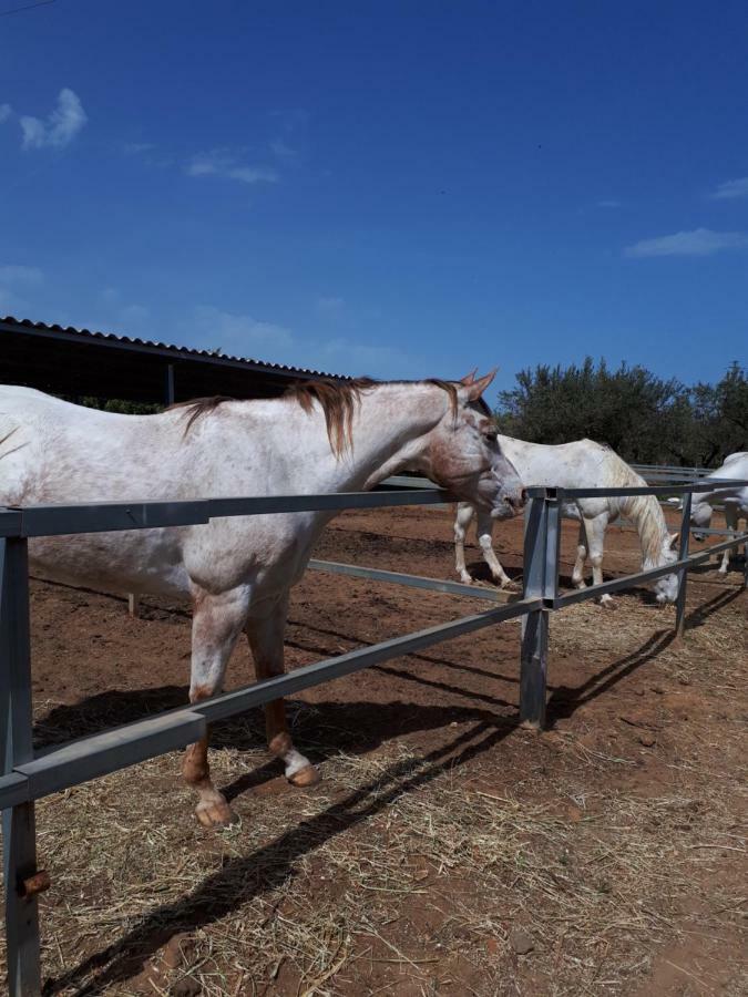Casa Vacanza Demi Alcamo Marina Dış mekan fotoğraf